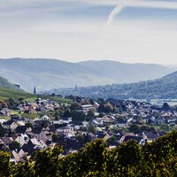 Blick auf Rachtig im Frühling