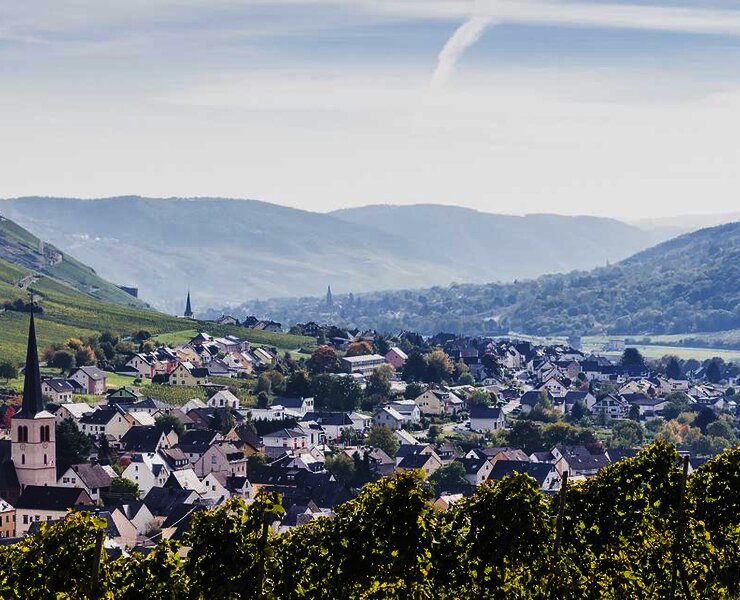 Blick auf Rachtig im Frühling