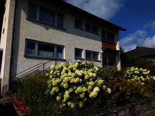 PXL_20260718_080348122
