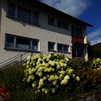 PXL_20260718_080348122