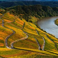 Piesporter Moselbogen mit Moselloreley