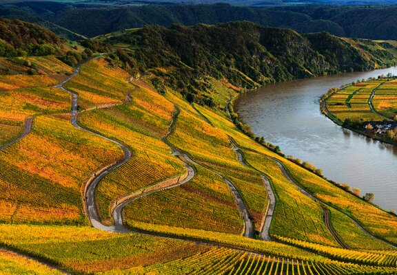 Piesporter Moselbogen mit Moselloreley