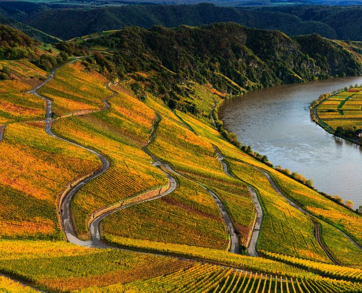 Piesporter Moselbogen mit Moselloreley