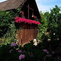 BalkonFuchsappartement