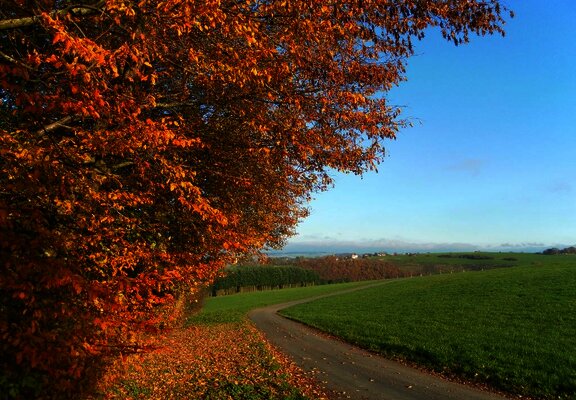 Blick auf Longkamp im Mosel-Hunsrück