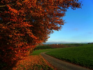Blick auf Longkamp im Mosel-Hunsrück