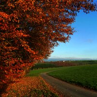 Blick auf Longkamp im Mosel-Hunsrück