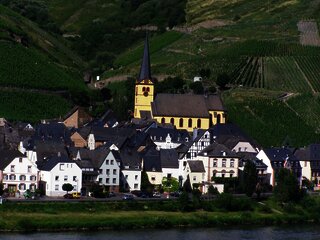 Blcik auf Zeltingen