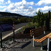 Station 1: "Riesling trifft Mosel"