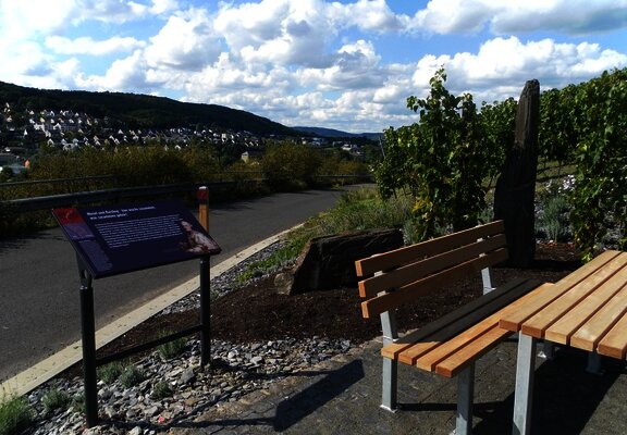 Station 1: "Riesling trifft Mosel"