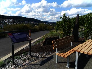 Station 1: "Riesling trifft Mosel"