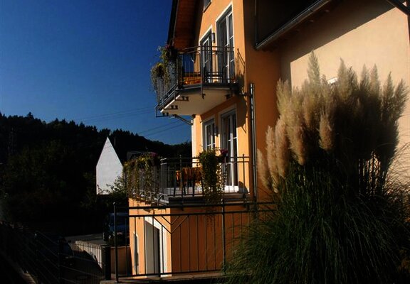 Pension Genetsch - Weingut Genetsch Mosel Lieser B