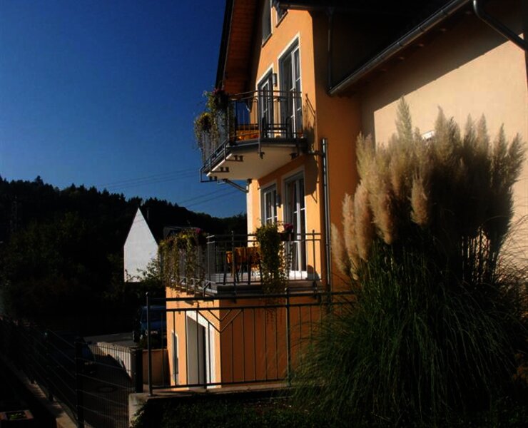 Pension Genetsch - Weingut Genetsch Mosel Lieser B