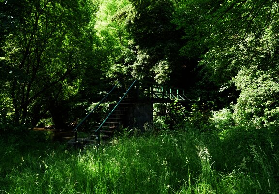 Fußgängerbrück über die Lieser bei Maring: Aufgang zum Lieserpfad