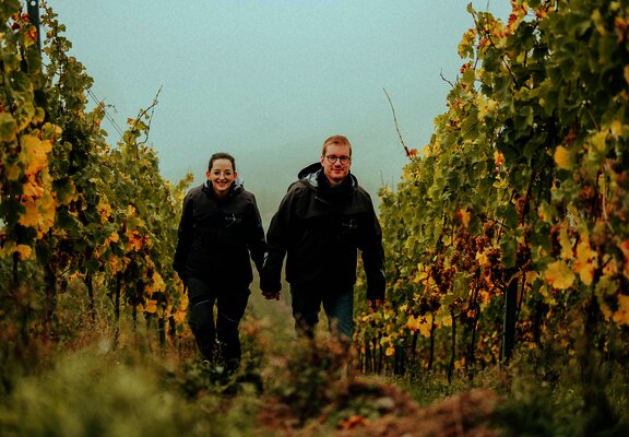 Weingut Schwaab und Sohn im Weinberg