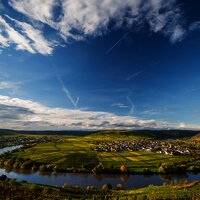 Moselblick bei Leiwen