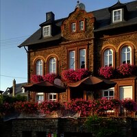 Das Weingut Leos in Zeltingen-Rachtig