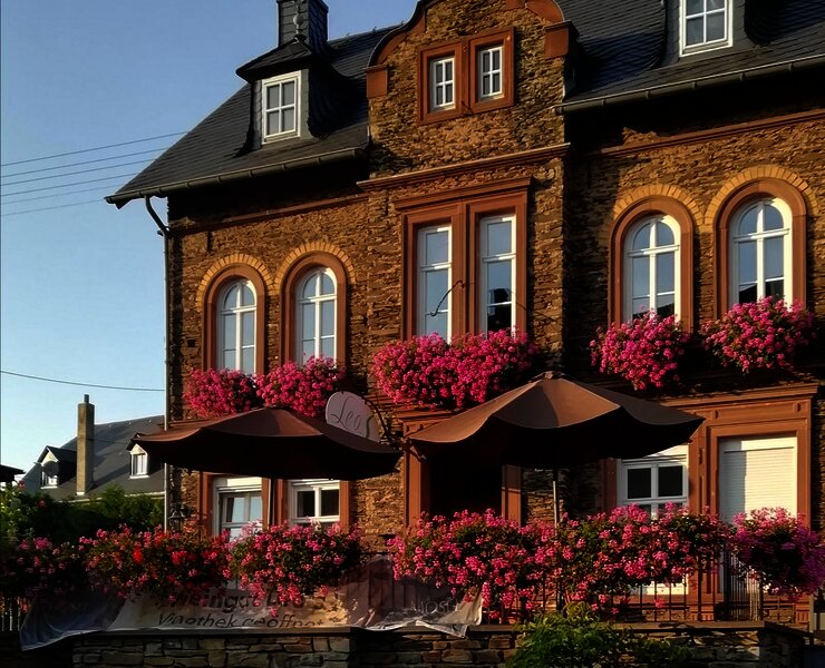 Das Weingut Leos in Zeltingen-Rachtig