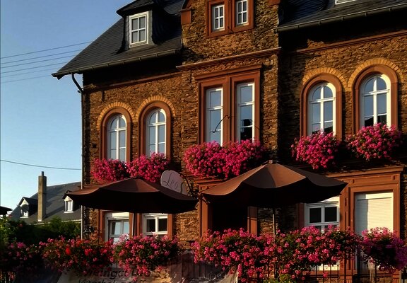 Das Weingut Leos in Zeltingen-Rachtig