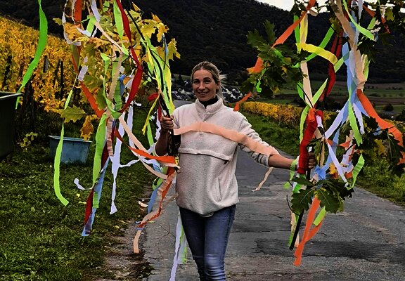 Weingut Hammes Traubenlese beendet