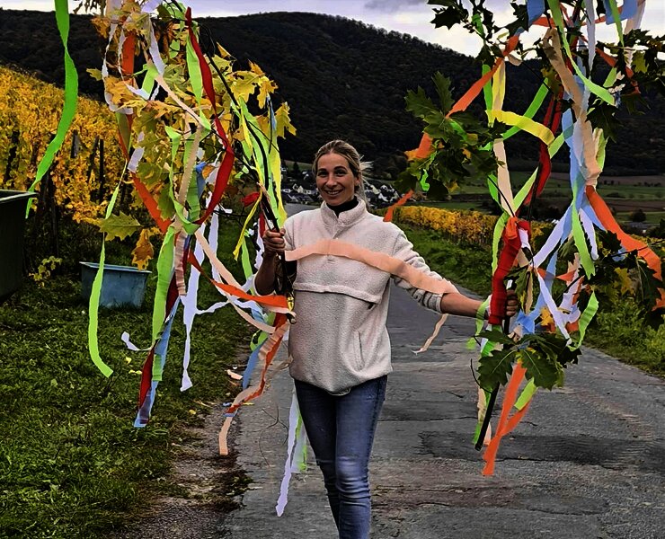 Weingut Hammes Traubenlese beendet