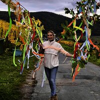 Weingut Hammes Traubenlese beendet