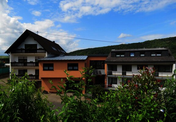 Landhaus Mosel / Berghof-  auch barrierefrei-