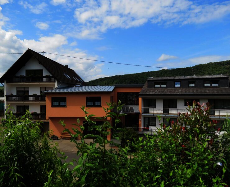Landhaus Mosel / Berghof-  auch barrierefrei-