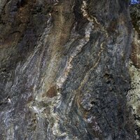 Quarzgang im Schieferfelsen am Felsdurchbruch der Landstraße