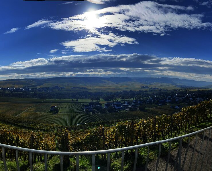 Weingut Thomas Hoffmann - Ausblick