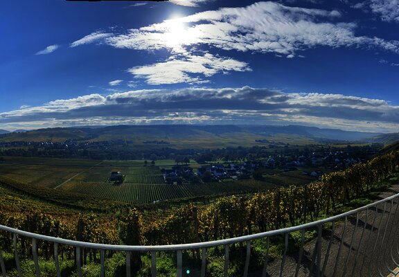 Weingut Thomas Hoffmann - Ausblick