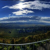 Weingut Thomas Hoffmann - Ausblick