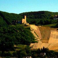 Umgebungsfoto , Burgruine Landshut
