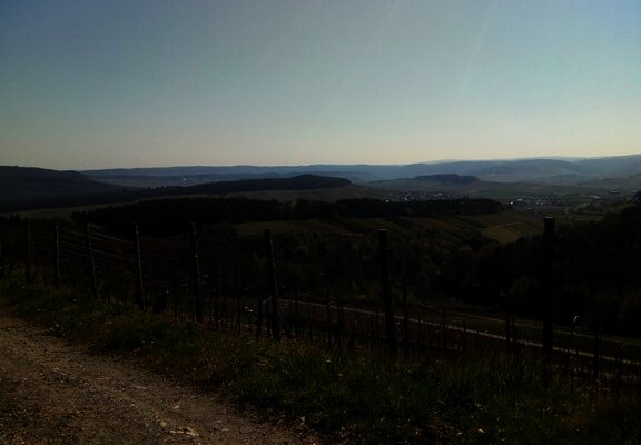 Weitsicht vom Förster-Claus-Weg