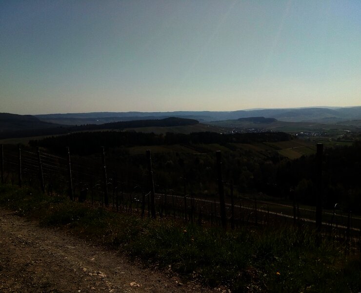 Weitsicht vom Förster-Claus-Weg