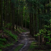 Grafschafter Wanderweg