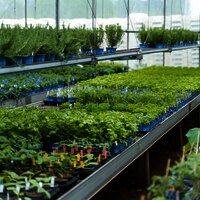 NewMediaLabs2025 (01)