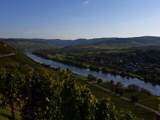 Wandern in Brauneberg