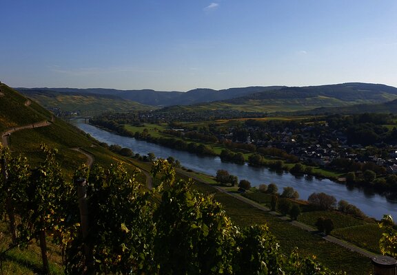 Wandern in Brauneberg
