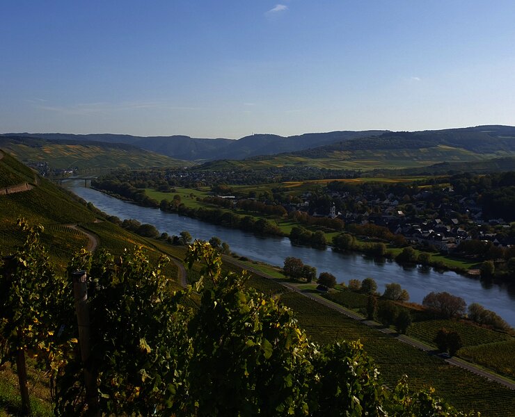 Wandern in Brauneberg