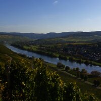 Wandern in Brauneberg