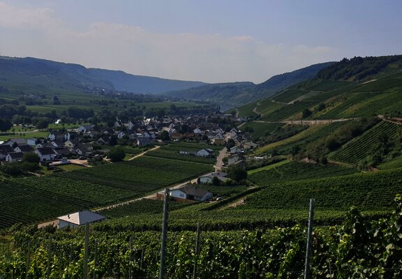 Blick auf den Ort Kesten und die Weinberge