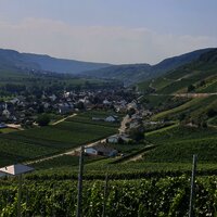 Blick auf den Ort Kesten und die Weinberge