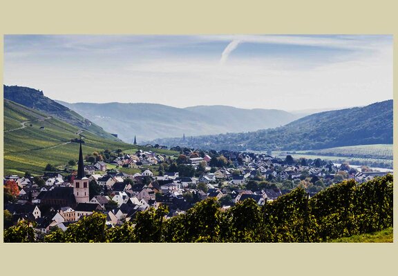 Blick auf Rachtig im Frühling
