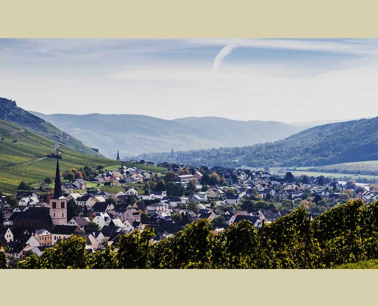 Blick auf Rachtig im Frühling