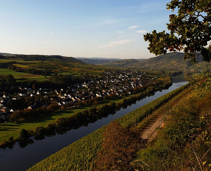 Ortschaft Brauneberg