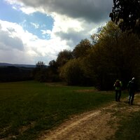 Wandergruppe in der Bernkasteler Schweiz