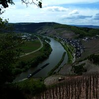 Blick auf Ürzig und Kloster Machern 