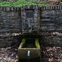 Joducusbrunnen im Wald von Wehlen