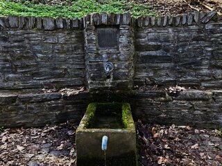 Joducusbrunnen im Wald von Wehlen